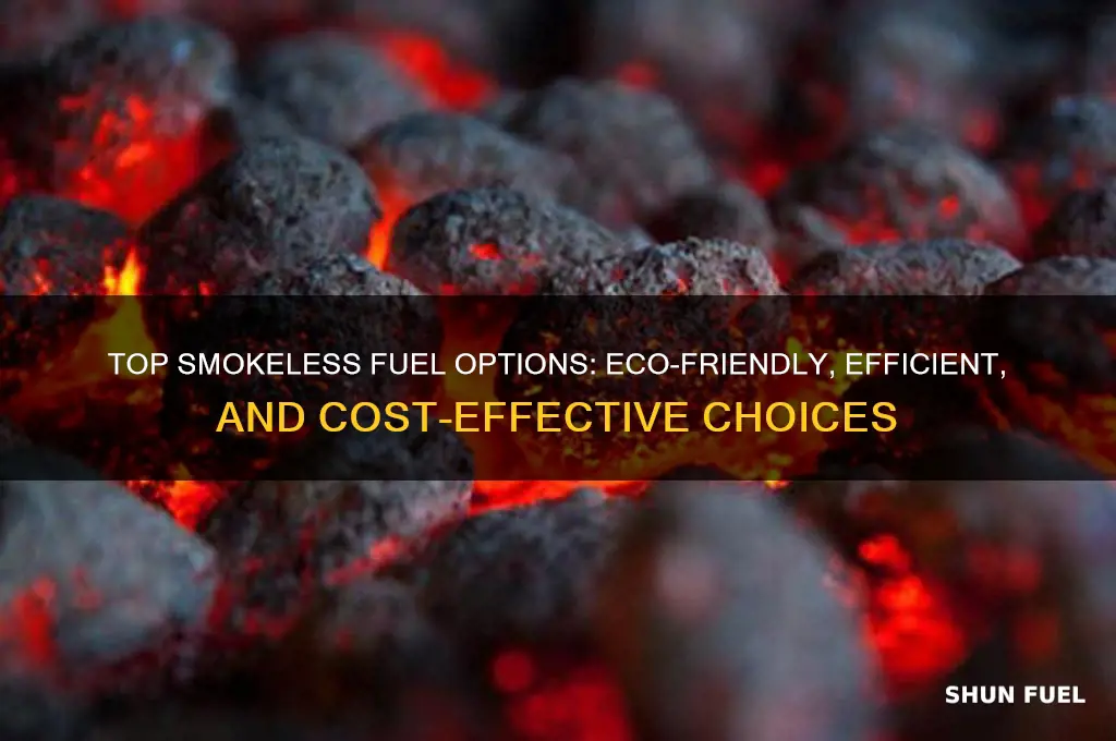 which smokeless fuel is best