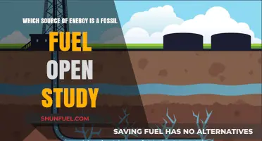 Fossil Fuel Energy Sources: Understanding Their Role and Impact