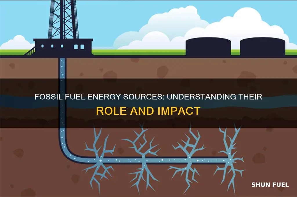which source of energy is a fossil fuel open study