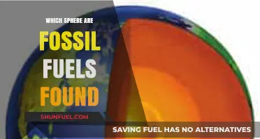 Fossil Fuels: Uncovering Their Origin in Earth's Geosphere