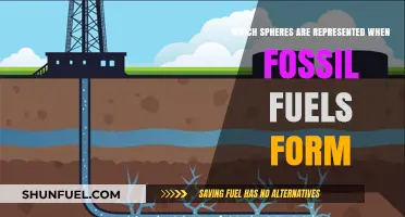 Fossil Fuels: A Complex Blend of Geological History