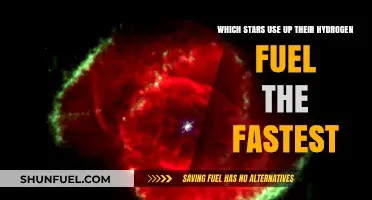 Hydrogen Fuel Burners: Which Stars Consume Their Supply Fastest?