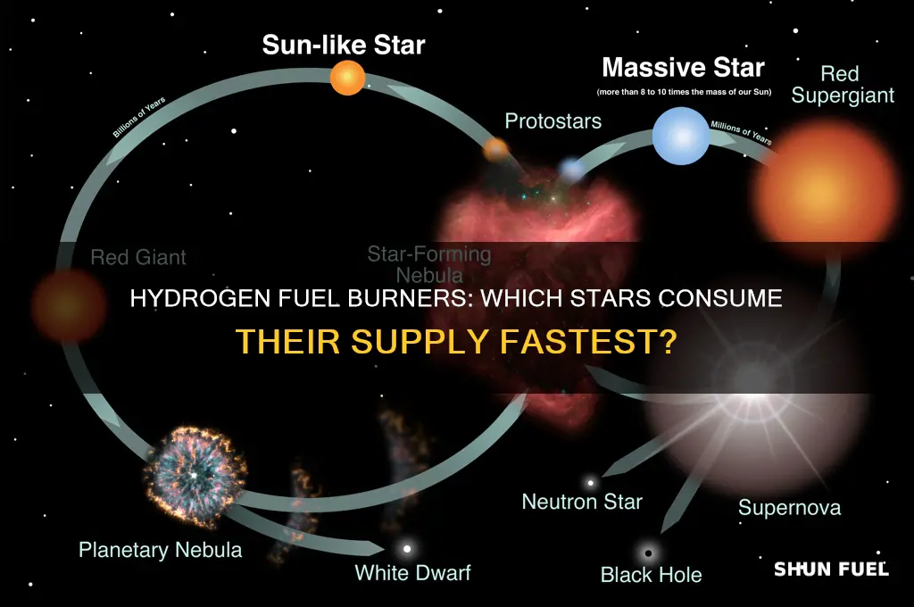which stars use up their hydrogen fuel the fastest