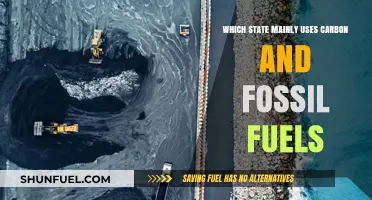 Fossil Fuel Reliance: Which U.S. State Leads in Carbon Usage?