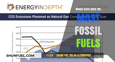 America's Fossil Fuel Leader: Which State Consumes the Most Energy?