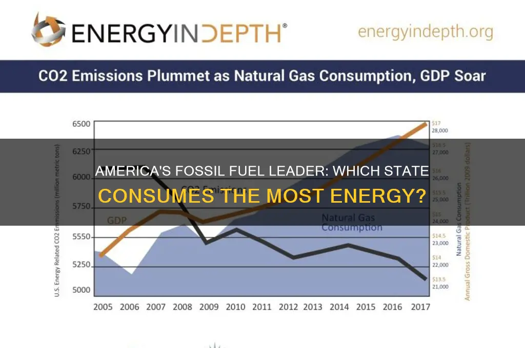 which state uses the most fossil fuels