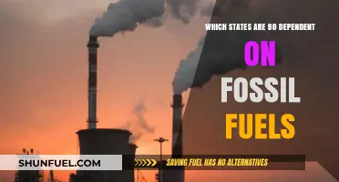 States Still Heavily Reliant on Fossil Fuels for Energy