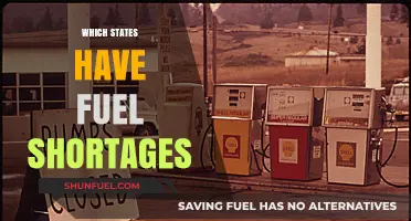 Fuel Shortages Across America: Which States Are Running on Empty?