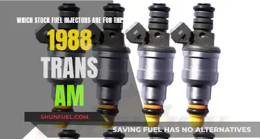 Fuel Injectors for the 1988 Trans Am: Stock Options
