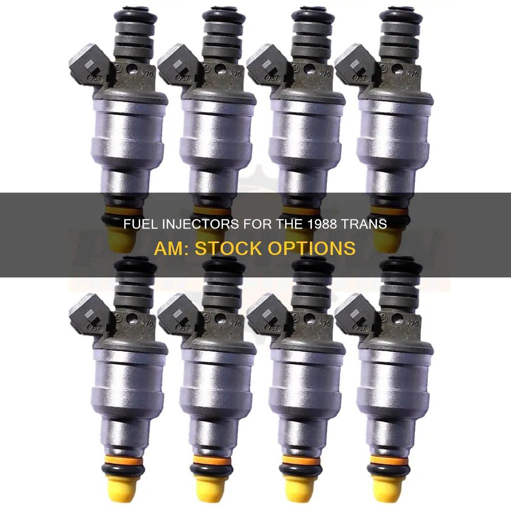 which stock fuel injectors are for the 1988 trans am