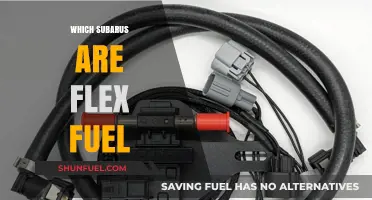 Subaru Flex Fuel Models: Which Vehicles Run on E85?