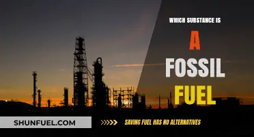 Unveiling Fossil Fuels: Identifying the Key Substances Powering Our World