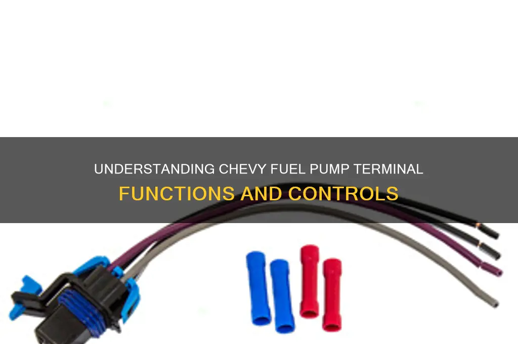 which terminals control what on a chevy fuel pump