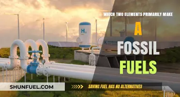 Unveiling Fossil Fuels: The Carbon and Hydrogen Foundation Explained