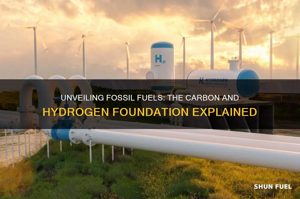 which two elements primarily make a fossil fuels