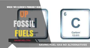 The Origin of Fossil Fuels: Carbon and Hydrogen