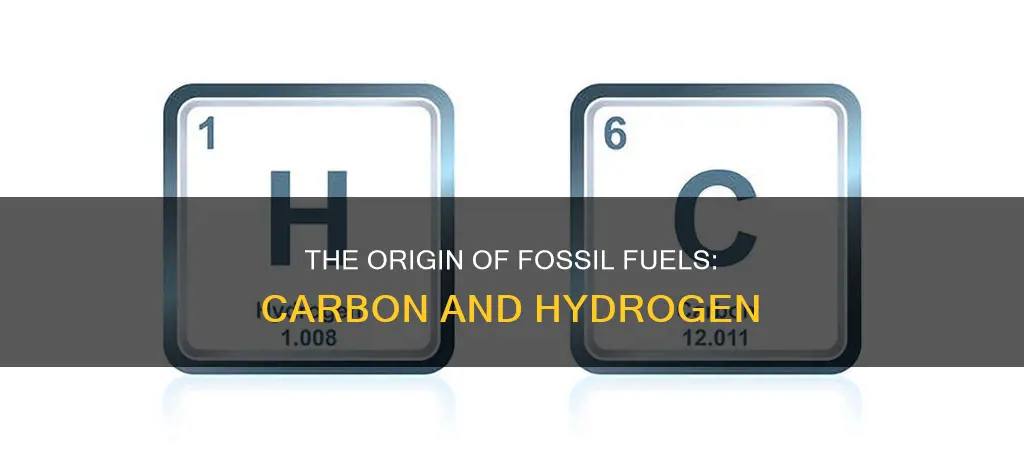 which two elements primarily make up fossil fuels