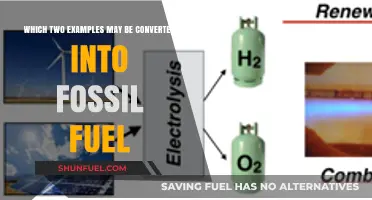 Organic Matter to Energy: Two Examples of Fossil Fuel Conversion