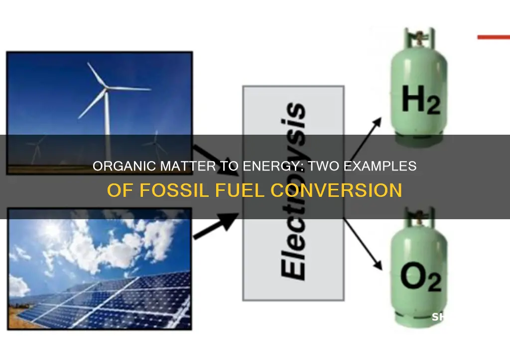 which two examples may be converted into fossil fuel