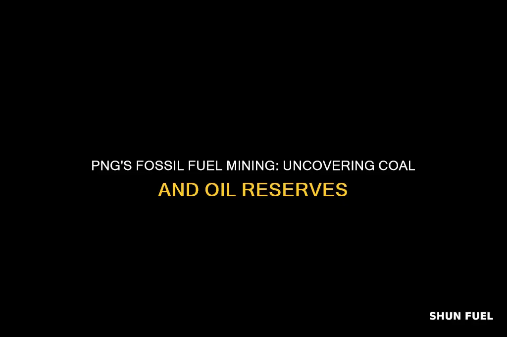 which two fossil fuels are mined in png