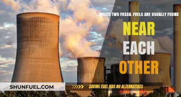 Coal and Natural Gas: The Common Neighbors Beneath Earth's Surface
