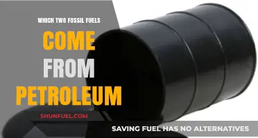 Petroleum's Dual Legacy: Unveiling Two Fossil Fuels Derived from Crude Oil