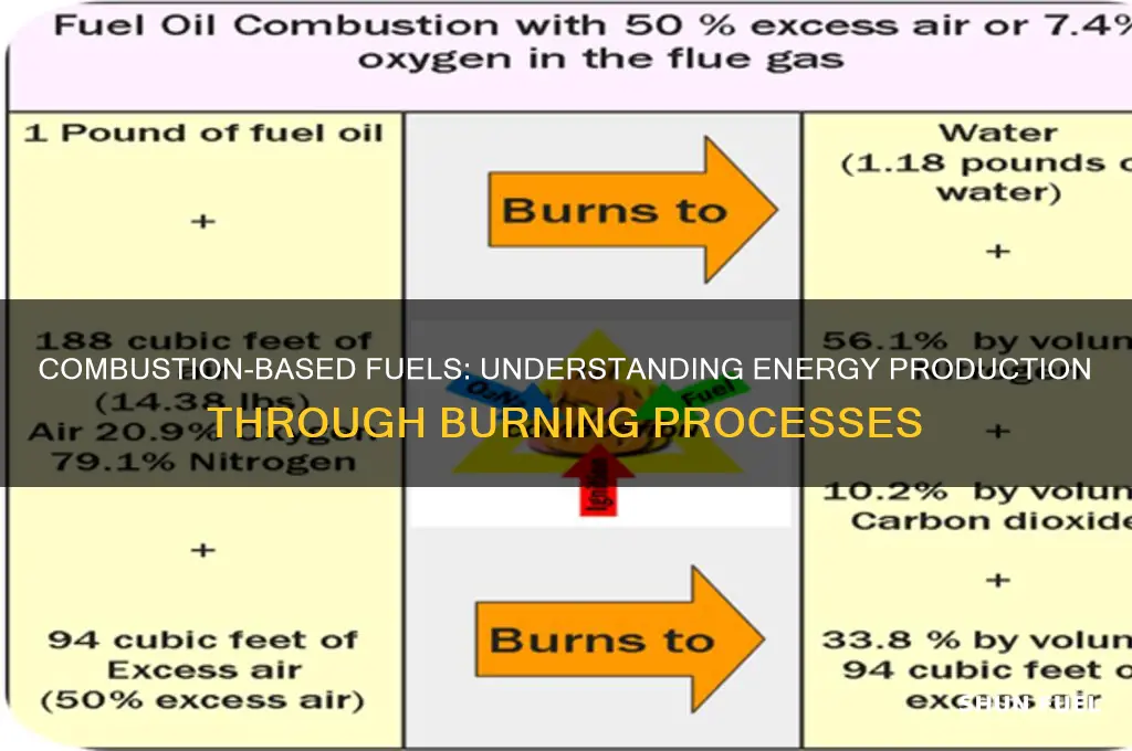 which type of fuel uses combustion to produce energy