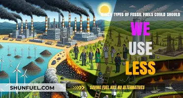 Reducing Fossil Fuel Dependence: Which Types to Phase Out First?