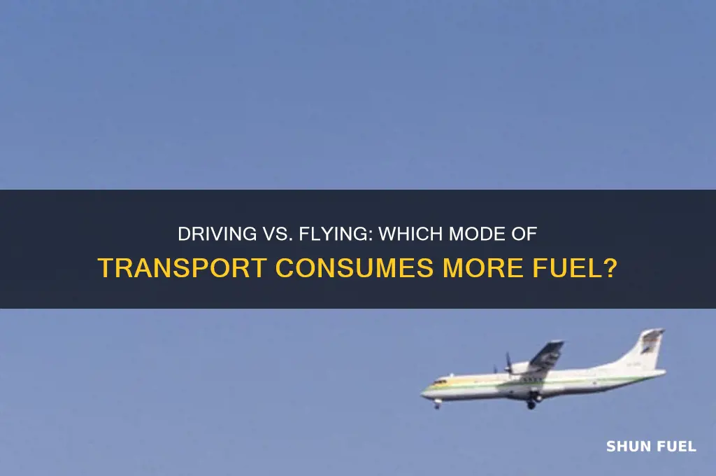 which uses more fuel driving or flying