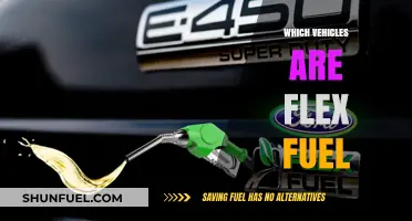 Discover Flex Fuel Vehicles: Which Cars and Trucks Run on E85?