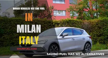 Milan's CNG-Powered Vehicles: Exploring Eco-Friendly Transport Options in Italy