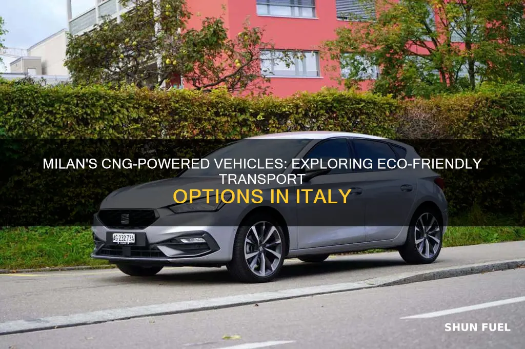 which vehicles use cng fuel in milan italy