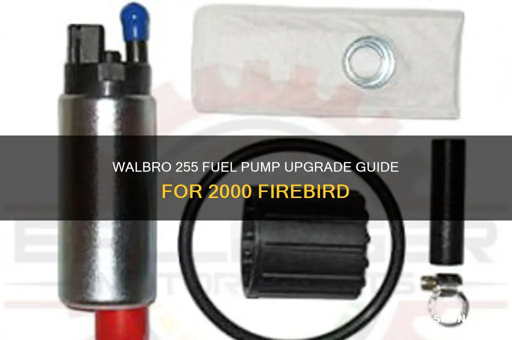which walbro 255 fuel pump 2000 firebird