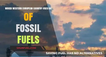 Fossil Fuel Reliance: Which Western European Nation Consumes 68%?