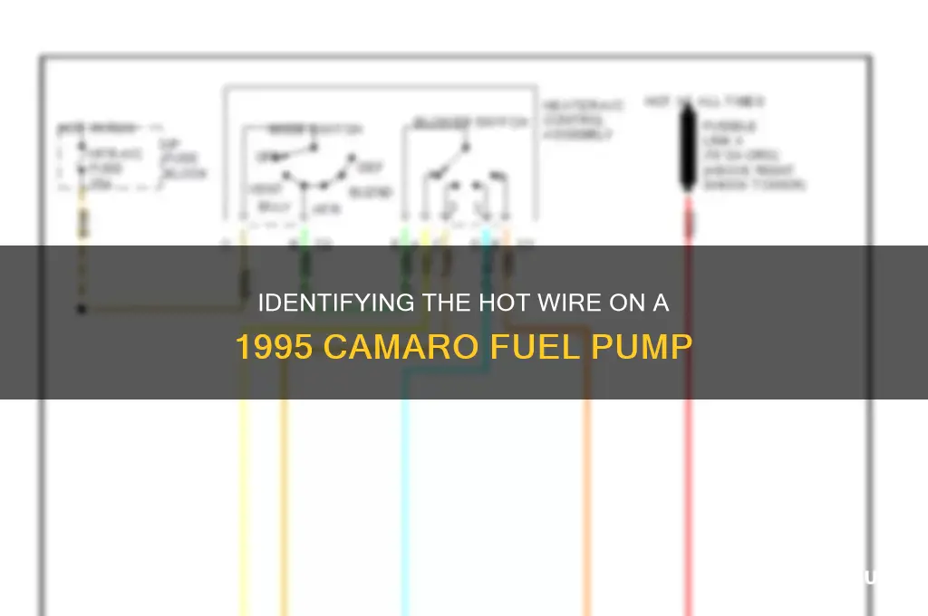 which wire is hot on fuel pump 1995 camaro