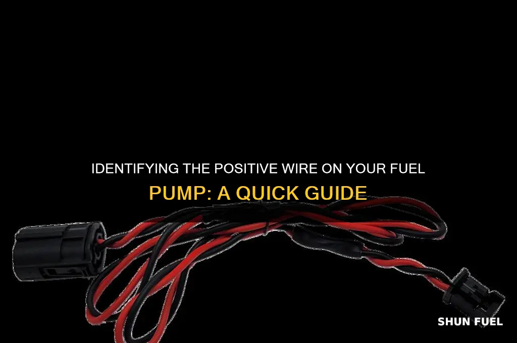 which wire is positive on a fuel pump