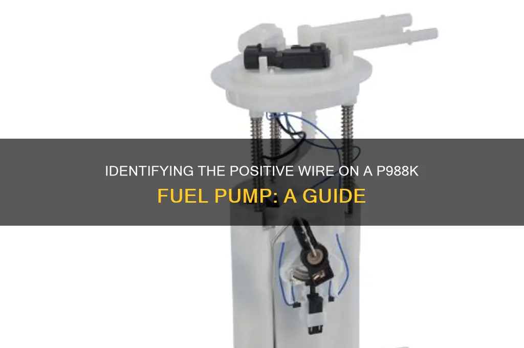 which wire is positive on a p988k fuel pump