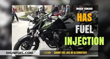 Yamaha Fuel Injection Models: A Comprehensive Guide to FI Bikes
