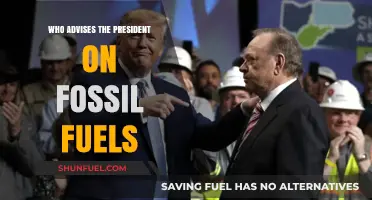 Key Advisors Shaping Presidential Fossil Fuel Policies and Decisions