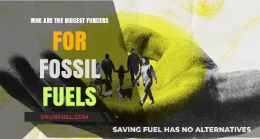 Unveiling the Top Financiers Behind the Fossil Fuel Industry