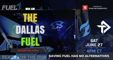 Meet the Dallas Fuel: Overwatch League's Iconic Esports Team