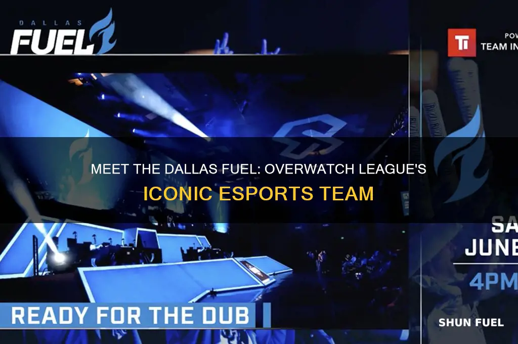 who are the dallas fuel