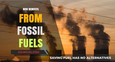 Who Profits from Fossil Fuels: Uncovering the Hidden Beneficiaries