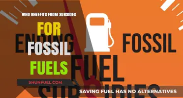 Fossil Fuel Subsidies: Who Profits and Who Pays the Price?