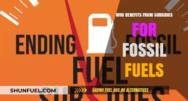 Fossil Fuel Subsidies: Who Profits and Who Pays the Price?