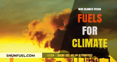 Fossil Fuels: The Primary Culprit Behind Global Climate Change?