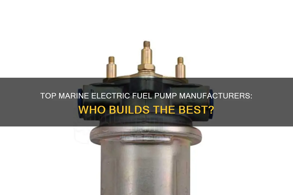 who builds the best marine electric fuel pump