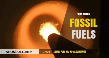 Who Burns Fossil Fuels: Industries, Nations, and Daily Contributors