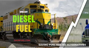 The Diesel Demographic: Who's Filling Up?