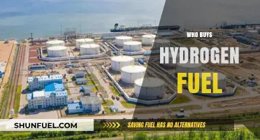 Exploring the Market: Who's Investing in Hydrogen Fuel Technology?